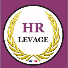 HR LEVAGE logo levage dans les bouches du rhone